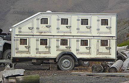 Husky-Transportanhnger