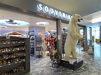 Schon wieder ein Eisbär als Souvenir ..? Schon wieder ein Eisbär als Souvenir ..?