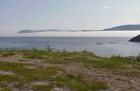 Nebel wälzt sich draußen im Fjord ...