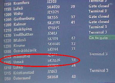 In welchem Terminal findet man Gate 38 ??