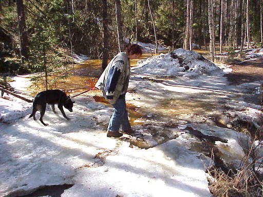 Bche ber den Weg: Wer fhrt nun wen ..?