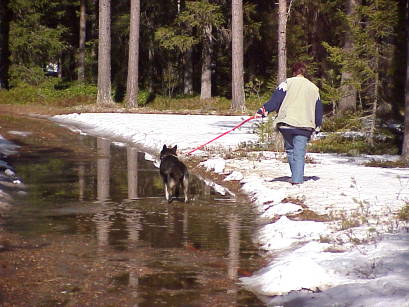 Wege unter Wasser - ihh bhhh ...