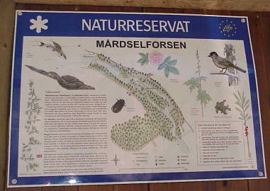 Auf ins Naturreservat ...