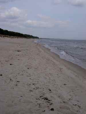Traumhafter Sandstrand in S�dschweden: Wenige Kilometer weiter aber �lverschmiert ...