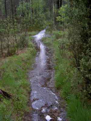 Kein Bachbett, sondern der Rundweg nach starken Regenfllen ...