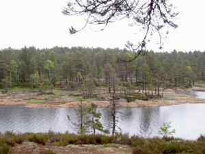 Nur einer von vielen schnen Ausblicken ...