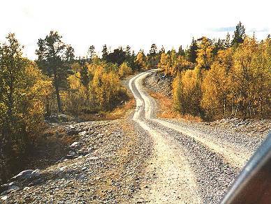 Zufahrt nach Kringsjn, viel besserer Zustand als noch vor ein paar Jahren ...