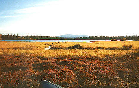 Erster Blick auf den Startplatz, hier genau ist auch die Quelle des Gta lv ...