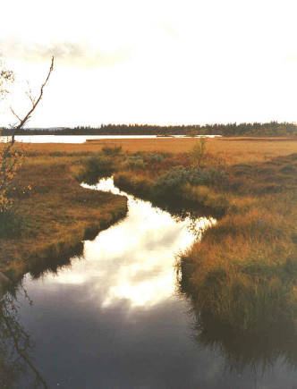 Der Startkanal durch das verlandende Ufer des Kringsjn ...