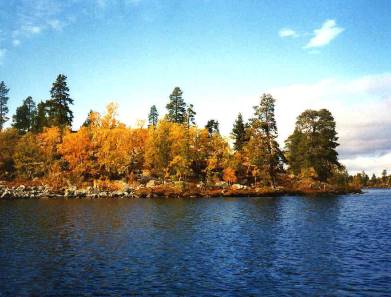 Blauer Himmel, Sonne und die "ruska", die farbenprächtige Herbstfärbung ...
