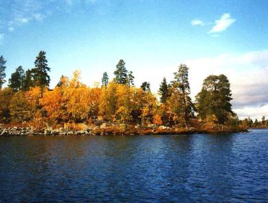 Blauer Himmel, Sonne und die "ruska", die farbenprchtige Herbstfrbung ...