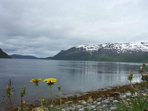 Aussichten: Fjorde ohne ...