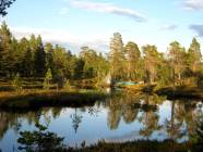 Kann man noch schner stehen ..?