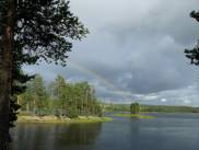 Der sterdallven im Regen ...