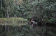 Nach offenem Wiesengelnde ins Dunkel des Waldes ...