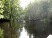 Bei Hochwasser kein Problem: Bei normalem Wasserstand eng ...