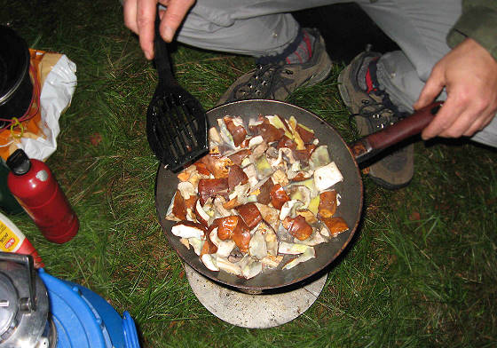 Pilze satt: Nicht nur reichlich, sondern auch sehr schmackhaft ...