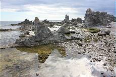 Folhammar Raukomrade