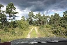 Viele spannende Kilometer auf Feld- und Waldwegen ... Viele spannende Kilometer auf Feld- und Waldwegen ...