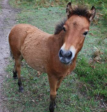 Freundliche Begrüßung ... Freundliche Begrüßung ...