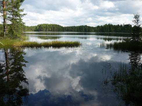 Naturreservat zum lnger bleiben  ...