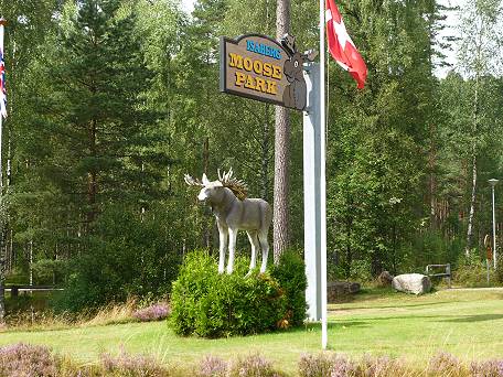 Zum Isaberg Elchpark ...