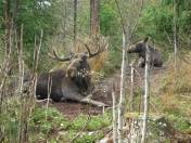 Die Alten haben die Ruhe weg ...