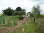 Idyllischer Zugang ...