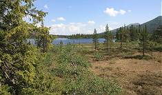 Grunningsdal: Wanderung am See zum Picknick