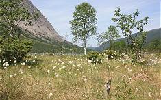 ... in herrlicher Natur, nur wenige Kilometer entfernt