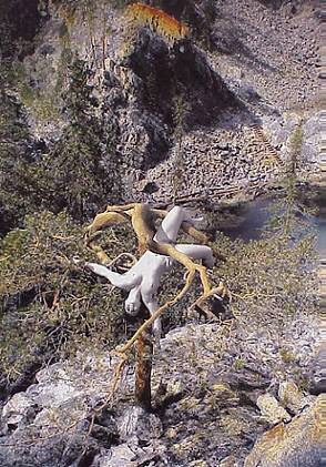 Kunst - aber nicht von uns!