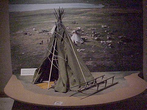 ... weitere verbotene Fotos im Arktikum ...