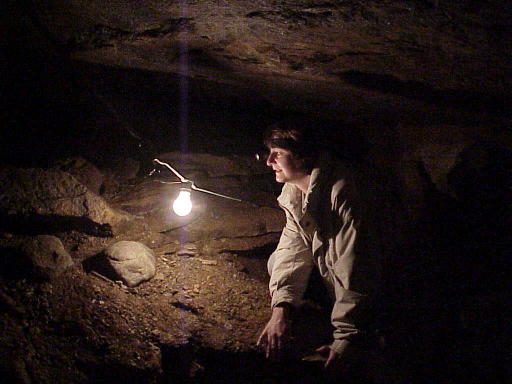 ... ein Grottenolm bei der Besichtigung ...