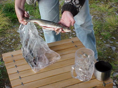 ... und der uns geschenkte Fisch ...