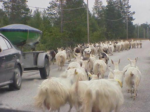 ... wer hat hier Vorfahrt oder eher Vorlauf?