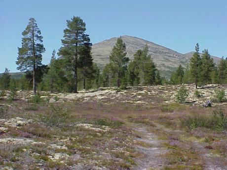 ... Landschaft pur ...