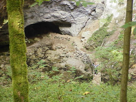 Direkt neben der Piste ...