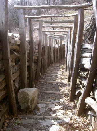 ... Zeugen blutigen Gemetzels ...