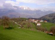 Zurck in Slowenien: Mildes Licht auf den Bergwiesen ...