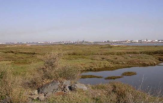 Odiel-Landzunge mit Huelva im Hintergrund ...