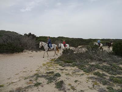 ... Reiter am Strand ...