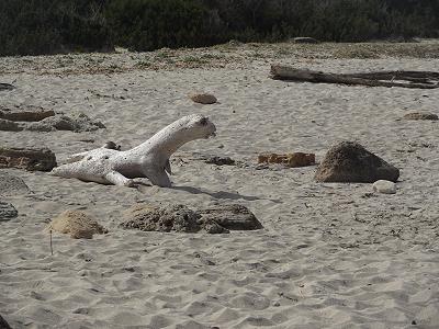 ... Naturskulpturen (Frettchen und Eisbr?) ...