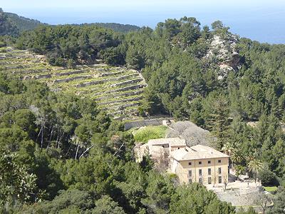 Steile Terrassen im Tramuntana ...