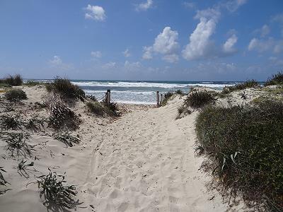 ... Vamos a la playa!