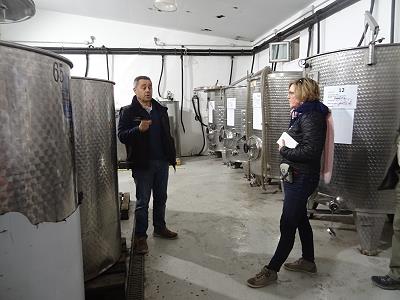 ... aus dem wilden Weingarten in die Stahltanks ...