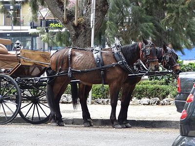 ... Verkehrsmittel aus allen Epochen ...