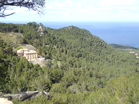An der Westküste Mallorcas: Im Tramuntana ...