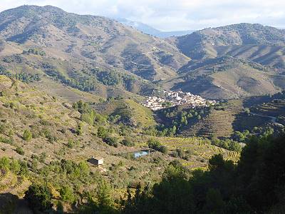 Verwunschens Priorat ...