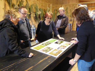 In der Kruterkche ...