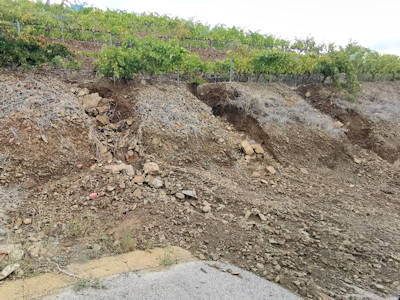 Die Spuren des nchtlichen Unwetters ...